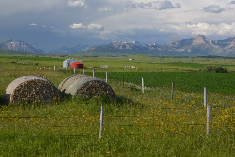 red silo and hayrolls